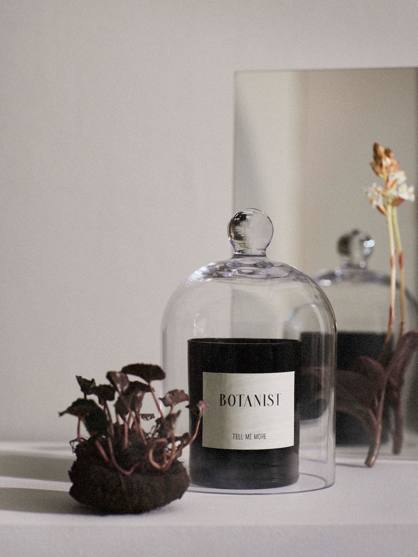 Tell Me More Geurkaars Botanist